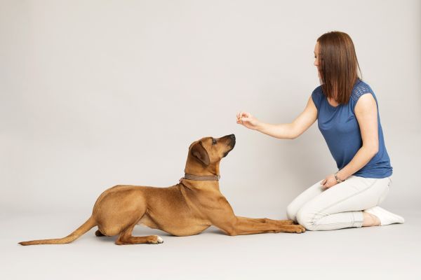 Donna gioca con il suo cane