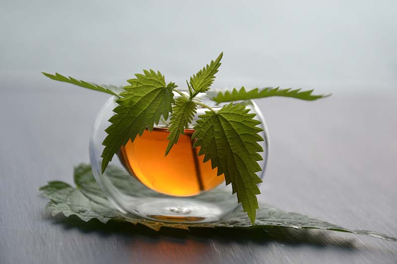 Bicchiere di camomilla alla menta