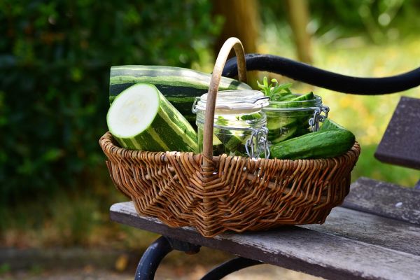 Cesto di zucchine su una panchina