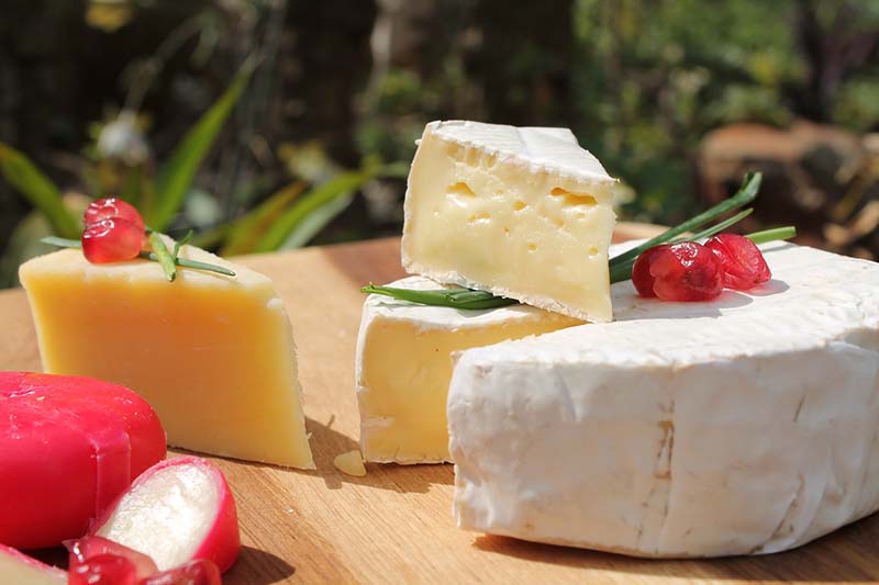 Tipi di formaggio