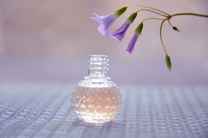Profumo alla lavanda