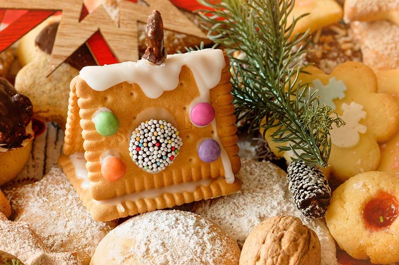 Biscotti con glassa a forma di casa 