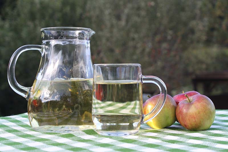 Brocca con succo di mele