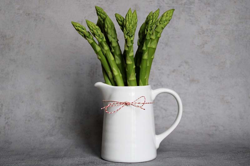 Asparagi