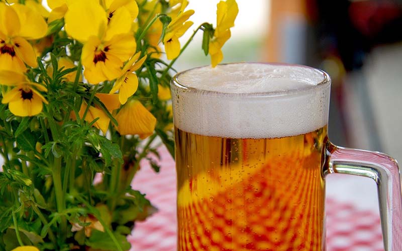 Boccale di birra