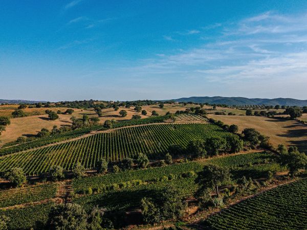 Panorama del territorio della Maremma