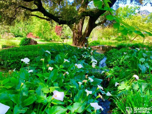 Giardino di ninfa
