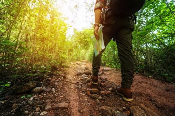 Uomo in tenuta da trekking cammina nella foresta