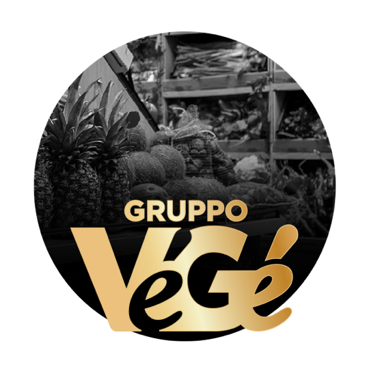 Storia Gruppo Vegé GDO (Grande Distribuzione Organizzata)