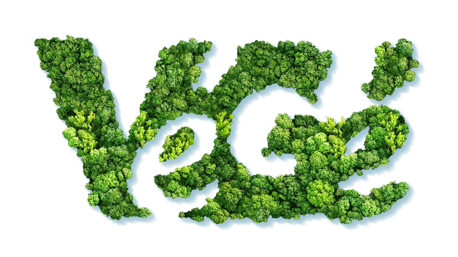 Logo Vegé sostenibilità