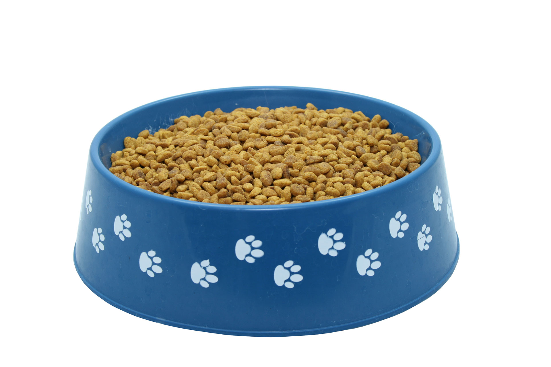Cibo per cani