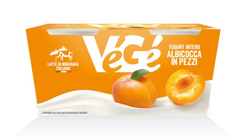 Yogurt intero con albicocca in pezzi Vegé GDO (Grande Distribuzione Organizzata)