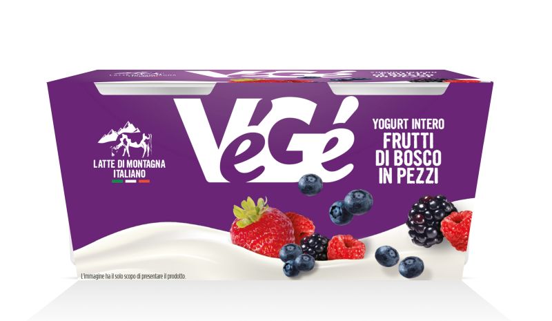 Yogurt intero con frutti di bosco in pezzi Vegé GDO (Grande Distribuzione Organizzata)