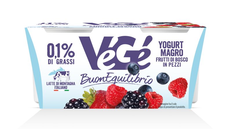 Yogurt magro frutti di bosco in pezzi Vegé GDO (Grande Distribuzione Organizzata)